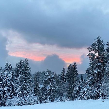 Schwarzwald Wohnung Kniebis Freudenstadt Exteriör bild