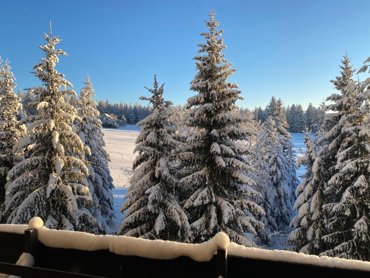 Schwarzwald Wohnung Kniebis Freudenstadt Exteriör bild