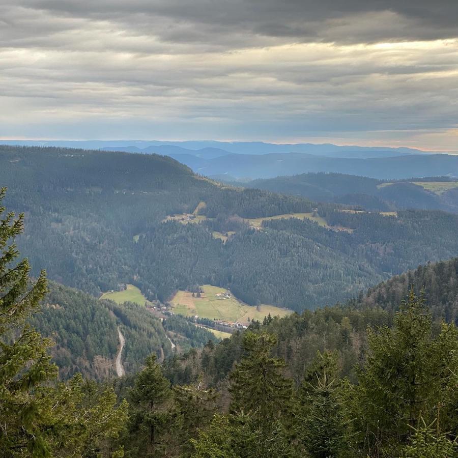 Schwarzwald Wohnung Kniebis Freudenstadt Exteriör bild